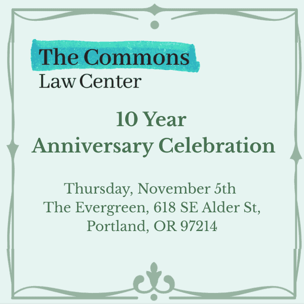 10 Year Party Flyer